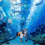 Dubai Aquarium & Level 124 Burj Khalifa Combo - Practical Details and Tips