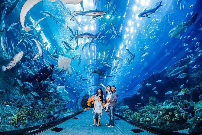Dubai Aquarium & Level 124 Burj Khalifa Combo - Practical Details and Tips