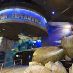 Dubai Aquarium & Underwater Zoo - Who Will Love This Tour?