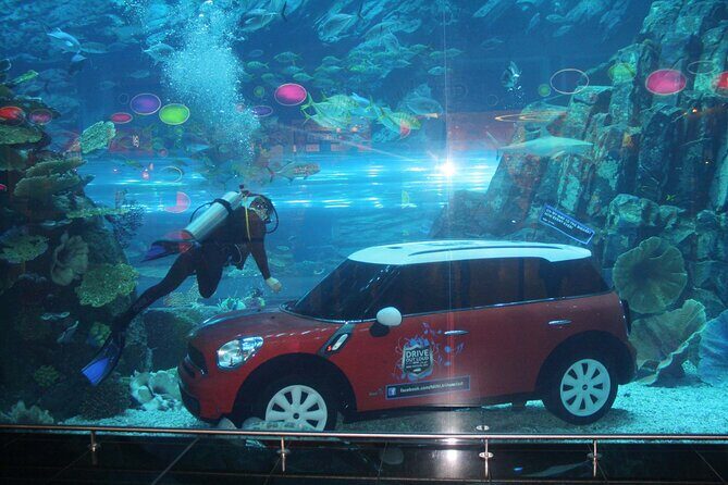 Dubai Aquarium & Underwater Zoo - Basic - The Experience in Practice