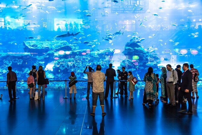 Dubai Aquarium & Underwater Zoo Entrance Ticket - Final Thoughts: Is the Dubai Aquarium & Underwater Zoo Worth It?