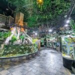 Dubai Aquarium UnderwaterZoo and Penguin cove Admission Ticket - Detailed Breakdown of the Experience