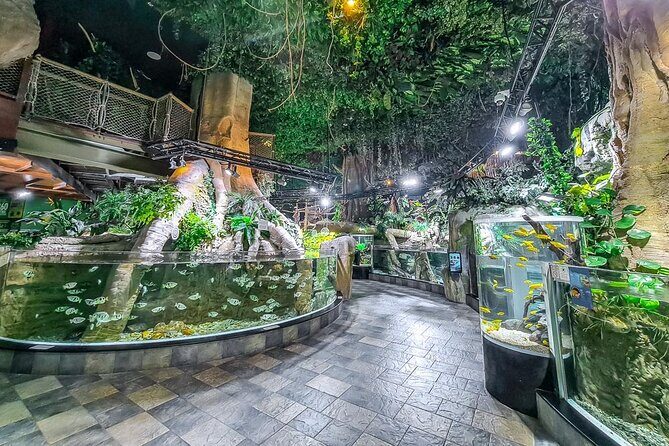 Dubai Aquarium UnderwaterZoo and Penguin cove Admission Ticket - Detailed Breakdown of the Experience