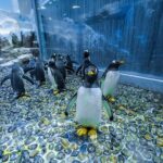 Dubai Aquarium with Various Animal Encounter and Access Options - Who Is This Tour Best For?