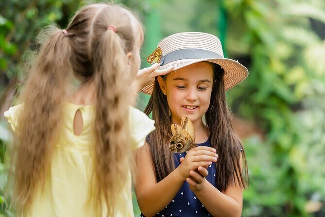 Dubai Butterfly Garden Admission Ticket - Final Thoughts