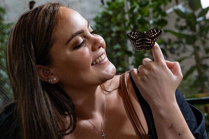Dubai Butterfly Garden Entry Ticket - The Reviews Tell the Real Story