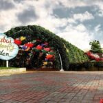Dubai Butterfly Garden (Escape into nature) - Who Should Book This Tour?