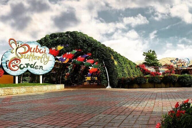 Dubai Butterfly Garden (Escape into nature) - Who Should Book This Tour?