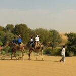 Dubai: Camel Caravan, Bedouin Breakfast with Al Marmoom Oasis - Who Is This Tour Best For?