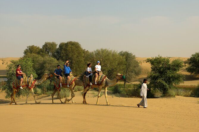 Dubai: Camel Caravan, Bedouin Breakfast with Al Marmoom Oasis - Who Is This Tour Best For?