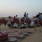 Dubai Camel Caravan with BBQ Dinner Buffet - Transportation and Practical Details