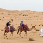 Dubai Camel Desert Safari, Traditional Meal & Heritage Activities - The Sum Up