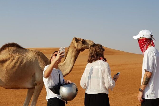 Dubai City Tour and Dinner in the Desert with Traditional Show - Who Will Love This Tour?