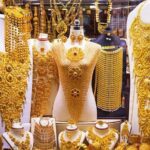 Dubai City Tour and Evening Desert Safari BBQ Dinner- Combo Tour - Who Will Appreciate This Tour?