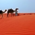 Dubai City Tour (Old & New) Desert Safari, BBQ, Camel Ride, Shows - Transportation & Pricing