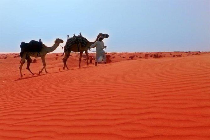 Dubai City Tour (Old & New) Desert Safari, BBQ, Camel Ride, Shows - Transportation & Pricing