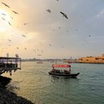 Dubai City Tour private - Practical Details and Tips