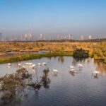 Dubai City Tour with Burj Khalifa - Who Should Consider This Tour?