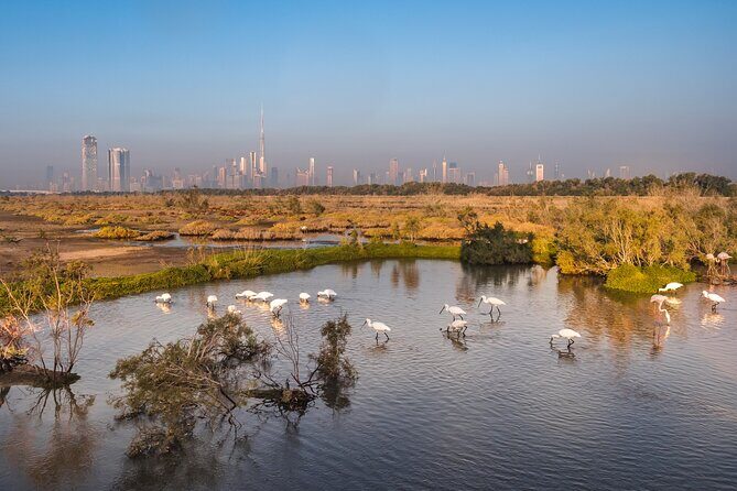 Dubai City Tour with Burj Khalifa - Who Should Consider This Tour?