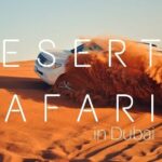 Dubai City Tour with Desert Safari & BBQ Dinner - Who Is This Tour Best For?