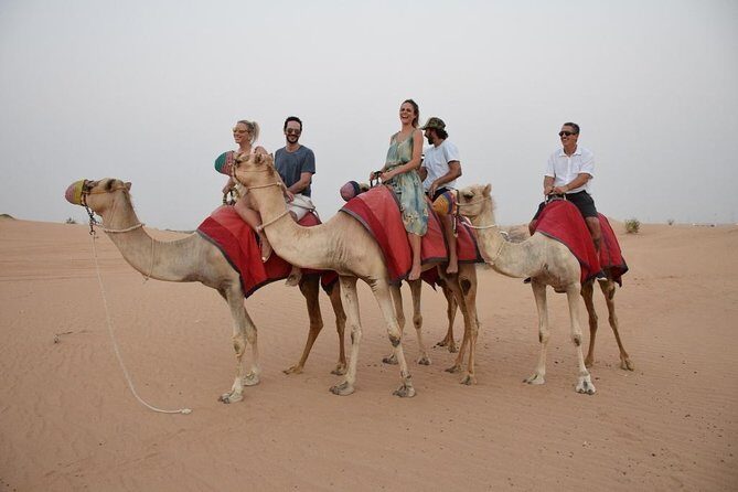 Dubai Desert 4x4 Dune Bashing, Sandboarding, Camel Riding, Dinner - Authenticity and Guest Experiences