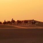 Dubai Desert 4x4 Safari with Camp activities & BBQ Dinner - The Itinerary Breakdown: What to Expect