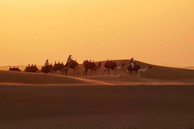 Dubai Desert 4x4 Safari with Camp activities & BBQ Dinner - The Itinerary Breakdown: What to Expect