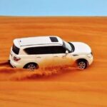 Dubai Desert Afternoon Safari with Camel Ride, BBQ Dinner, and Belly Dancing - What’s Included and What’s Not