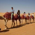Dubai: Desert Camel Ride with Live Shows & BBQ Buffet Dinner - What to Expect and Practical Tips