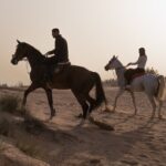 Dubai Desert Horseback Safari with Photoshoot - What’s Included and Why It Matters