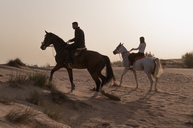 Dubai Desert Horseback Safari with Photoshoot - What’s Included and Why It Matters