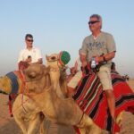Dubai Desert Morning Tour in 4WD Vehicle: Camel Ride, Quad Bike Tour, Sandboarding, and Camel Farm - Potential Drawbacks to Consider