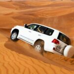 Dubai Desert Safari and Buffet Dinner with PRIVATE Transfer - Insights from Reviewers: What Really Sets This Tour Apart