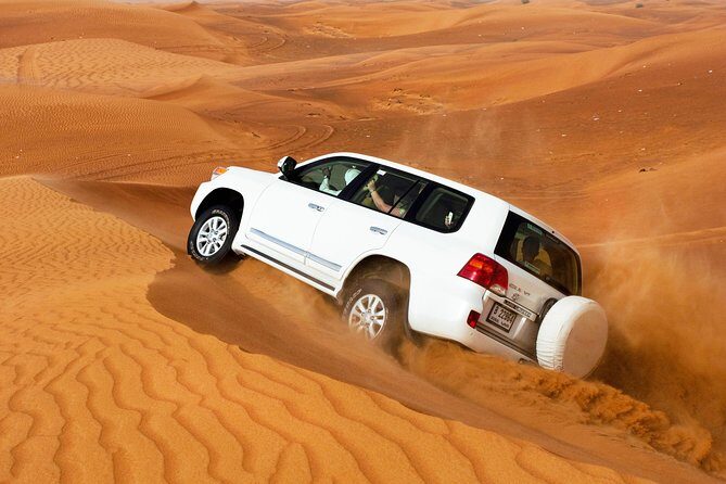 Dubai Desert Safari and Buffet Dinner with PRIVATE Transfer - Insights from Reviewers: What Really Sets This Tour Apart
