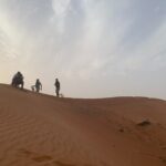 Dubai Desert Safari-BBQ Dinner, Belly Dance, Fire show - FAQ