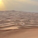 Dubai Desert Safari, Camel, Live BBQ & Shows (Private 4x4 Car) - Who Should Consider This Tour?