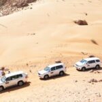 Dubai Desert Safari Exclusive jeep, activities, shows (01-05 persons) per jeep - The Itinerary: Step-by-Step Breakdown