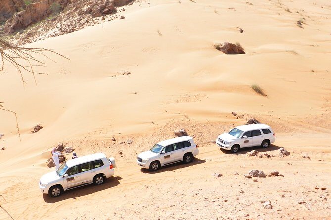 Dubai Desert Safari Exclusive jeep, activities, shows (01-05 persons) per jeep - The Itinerary: Step-by-Step Breakdown
