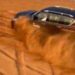 Dubai Desert Safari: Premium Adventure ,Camel Riding & Live Shows - Value and Practical Considerations