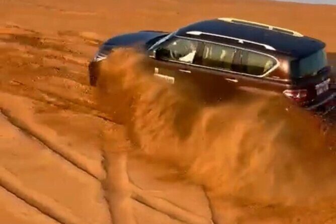 Dubai Desert Safari: Premium Adventure ,Camel Riding & Live Shows - Value and Practical Considerations