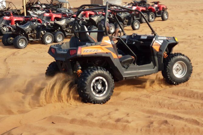 Dubai: Desert Safari, Quad Bike, Camel Ride, and Buffet Dinner - Camel Rides: A Tranquil Moment