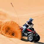 Dubai Desert Safari Sharing with Quad, Shows, Camel and Dinner - Quad Biking: Your Personal Adventure
