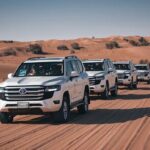 Dubai Desert Safari Thrill: Camel Ride, Live shows, BBQ & Spirits - Pricing and Value
