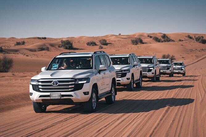 Dubai Desert Safari Thrill: Camel Ride, Live shows, BBQ & Spirits - Pricing and Value
