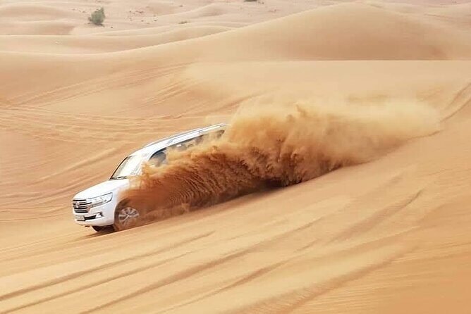 Dubai Desert Safari Tour Hotel Transfer, Camel Ride & BBQ Dinner - Who Will Love This Tour?