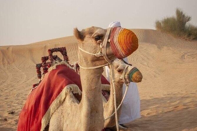 Dubai Desert Safari With ATV - Authentic Experiences Highlighted by Reviewers