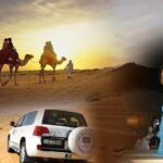 Dubai Desert Safari with BBQ, 3 Shows & Camel Ride at Majlis Camp - Is It Worth the Price?