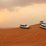 Dubai Desert Safari with BBQ Dinner, Camel Ride, and Shows - The Practicalities: What You Need to Know