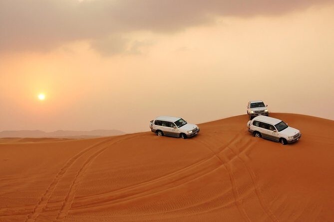 Dubai Desert Safari with BBQ Dinner, Camel Ride, and Shows - The Practicalities: What You Need to Know