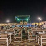 Dubai Desert Safari with BBQ Dinner in red sand - Who Is This Tour Best For?